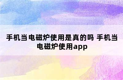 手机当电磁炉使用是真的吗 手机当电磁炉使用app